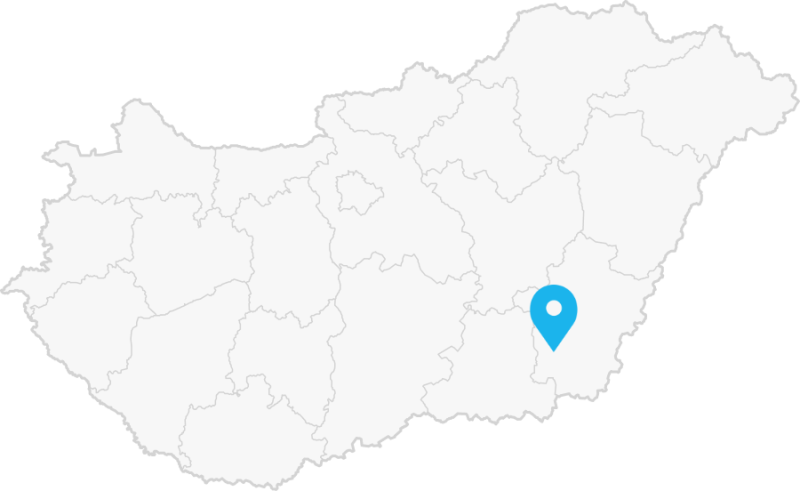 Térkép