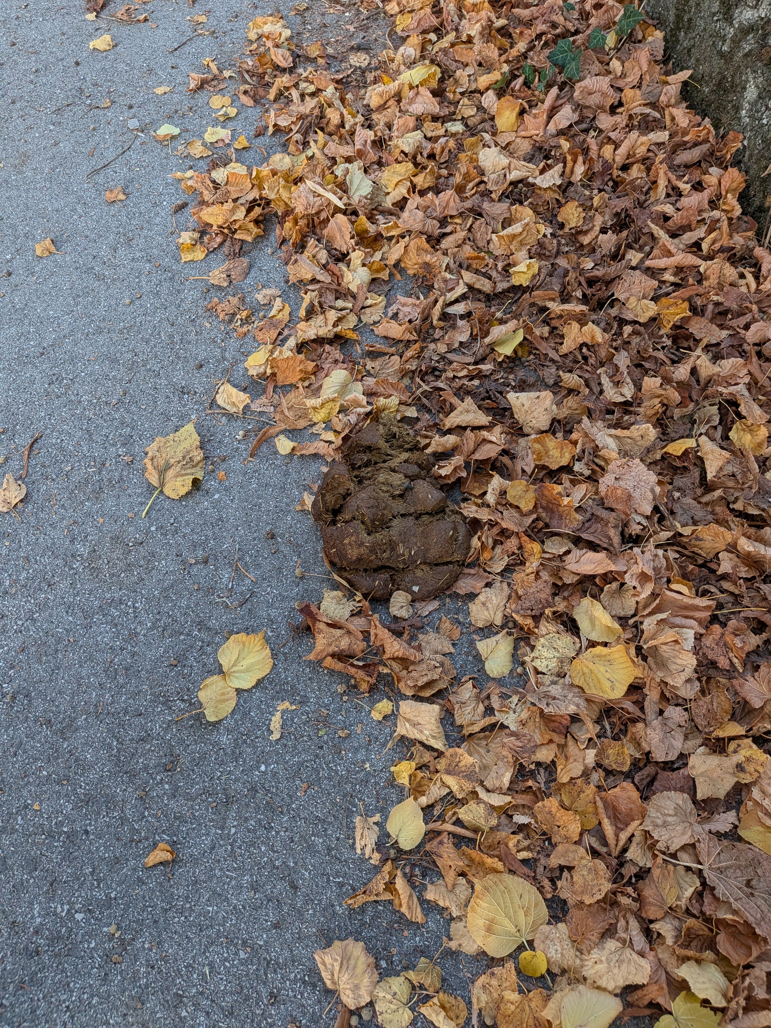 Fotografie príspevku v galérii: 2