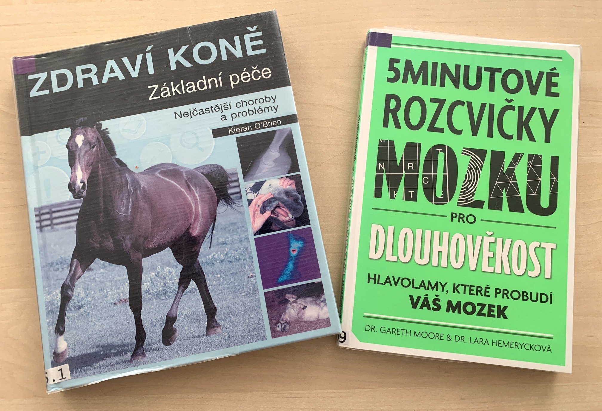 Fotografie příspěvku v galerii: 6