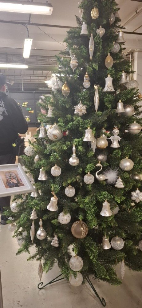 Fotografie příspěvku v galerii: 5
