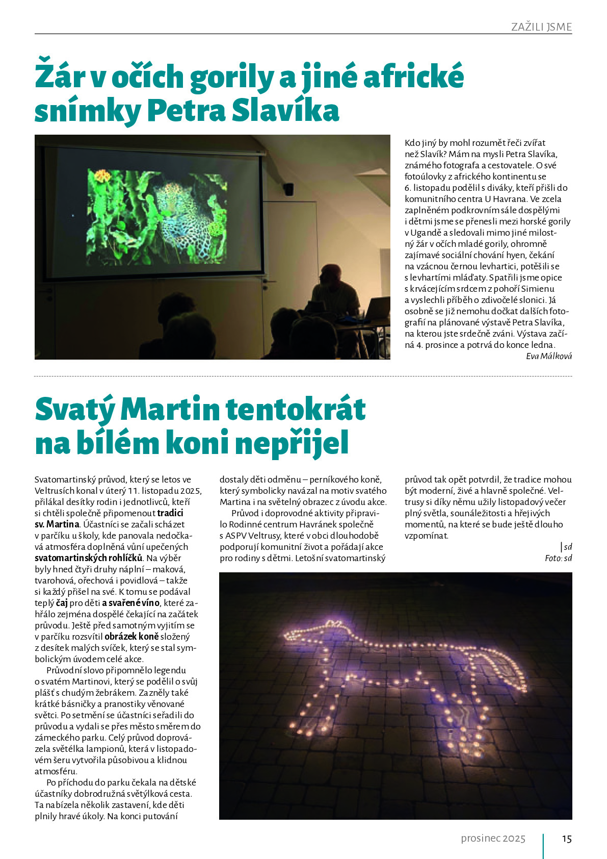 Fotografie příspěvku v galerii: 15