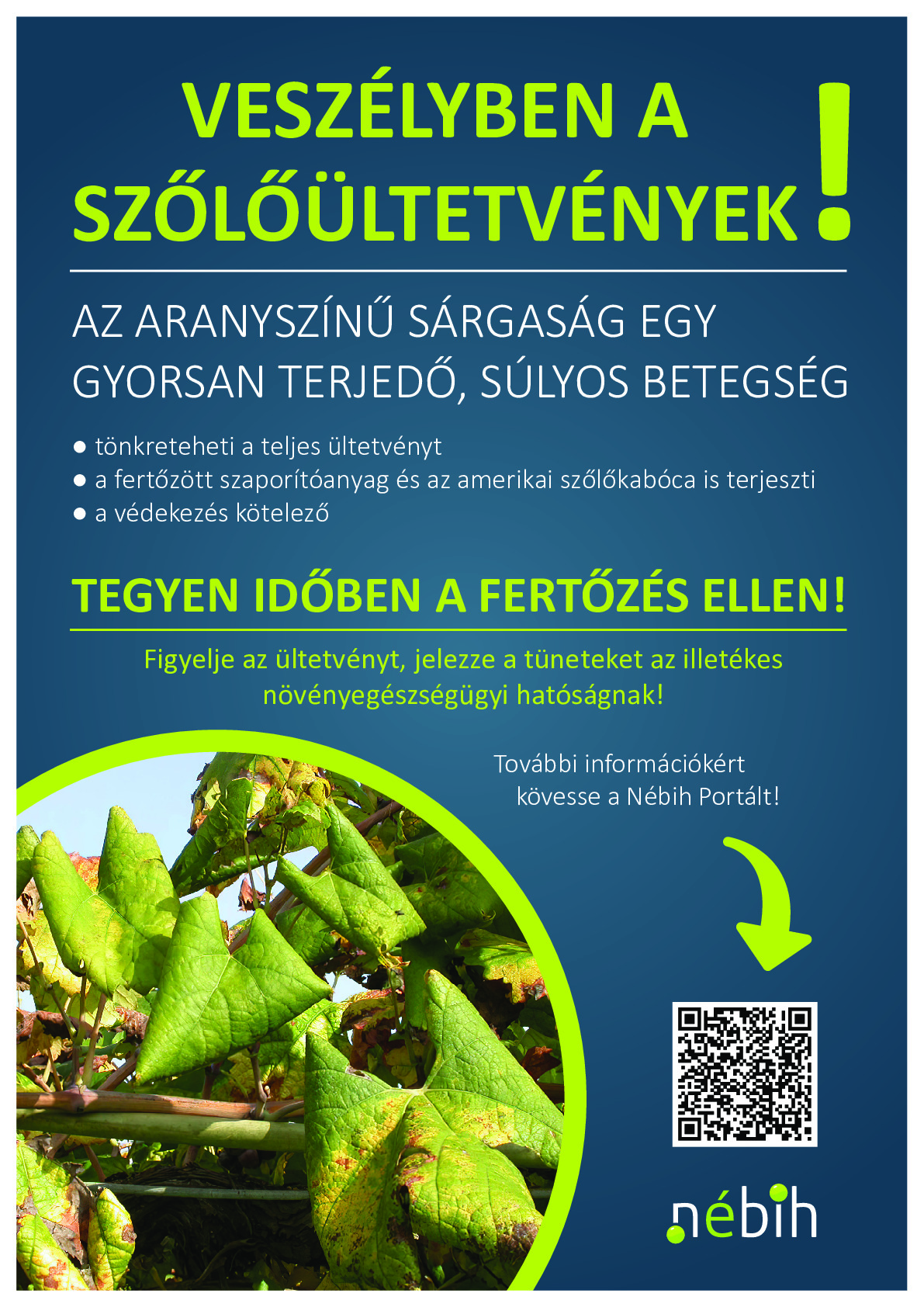 A bejegyzés fotója a galériában: 1