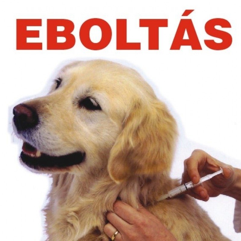 A bejegyzés fotója a galériában: 1