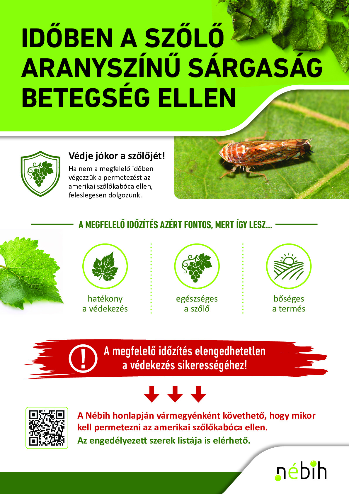 A bejegyzés fotója a galériában: 1
