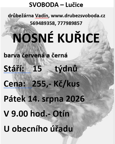 Fotografie příspěvku v galerii: 1