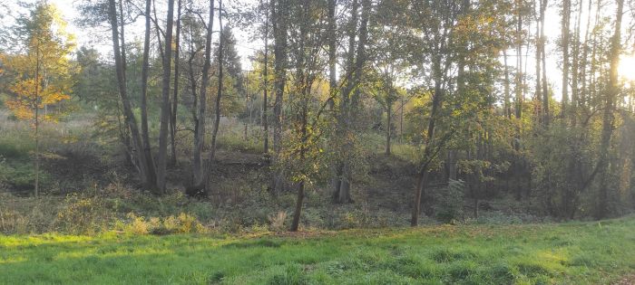 Fotografie příspěvku v galerii: 2