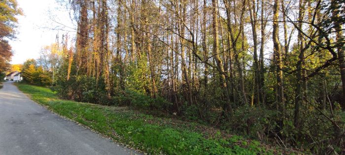 Fotografie příspěvku v galerii: 4