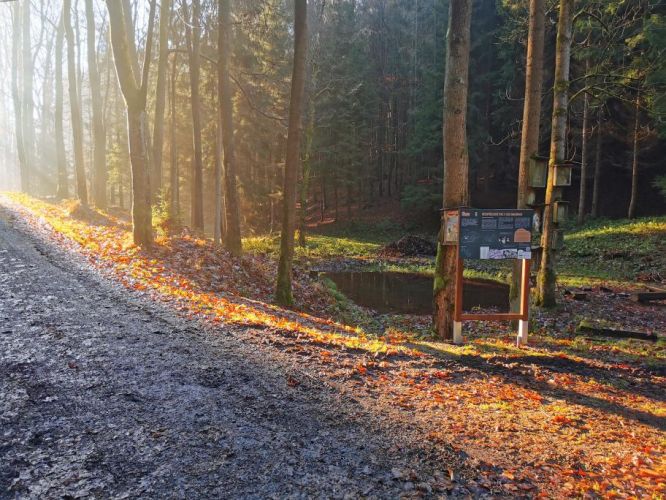 Fotografie příspěvku v galerii: 4