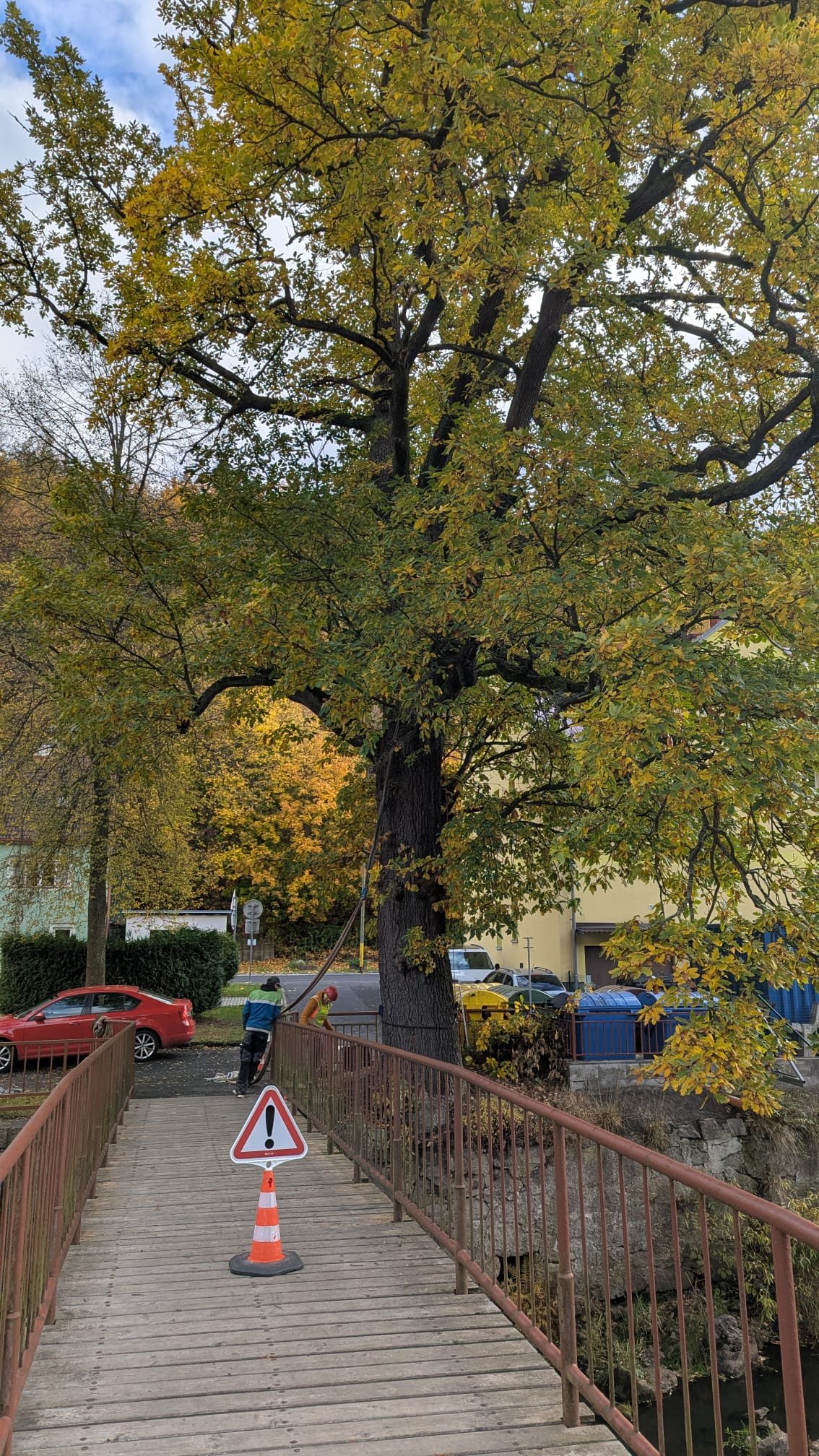 Fotografie příspěvku v galerii: 1