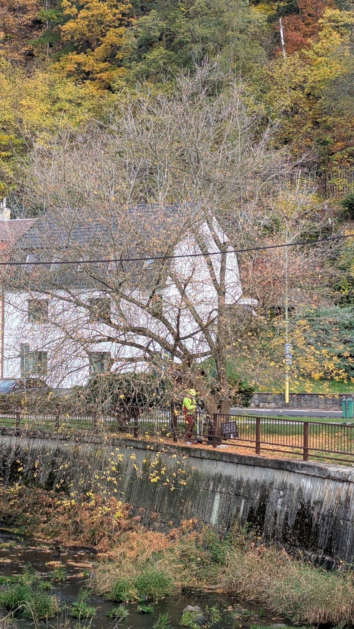 Fotografie příspěvku v galerii: 2