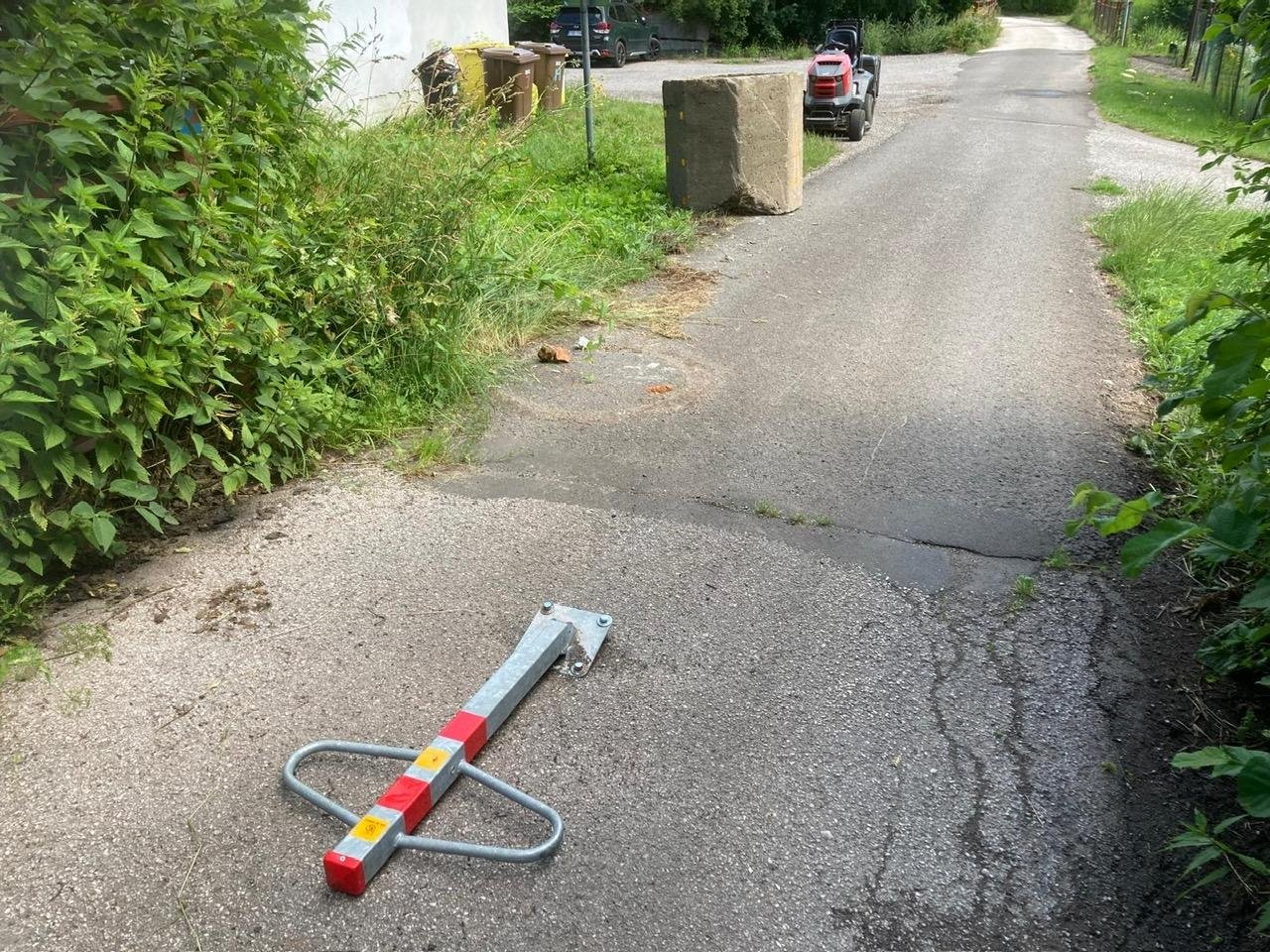 Fotografie příspěvku v galerii: 1