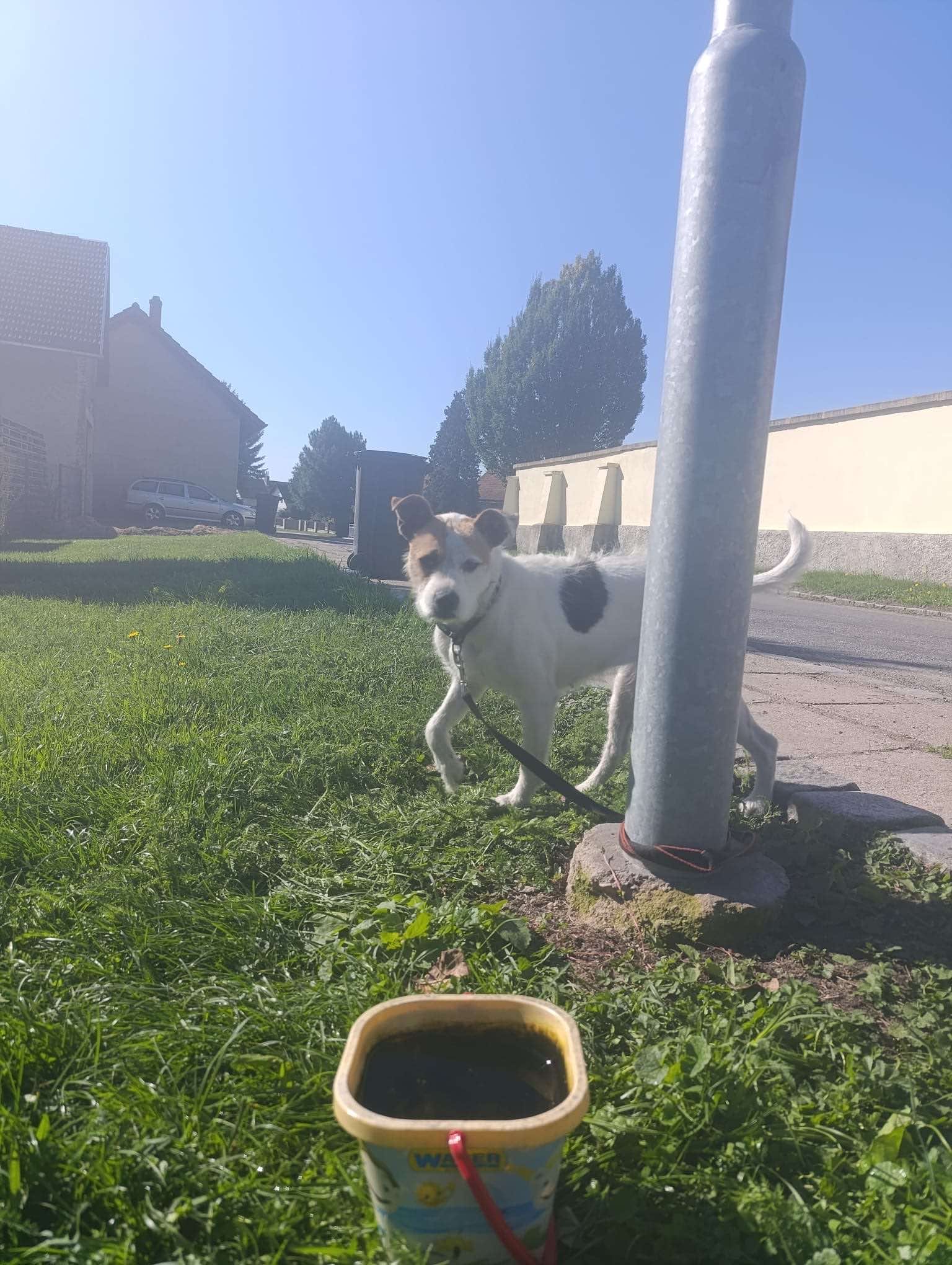 Fotografie příspěvku v galerii: 2