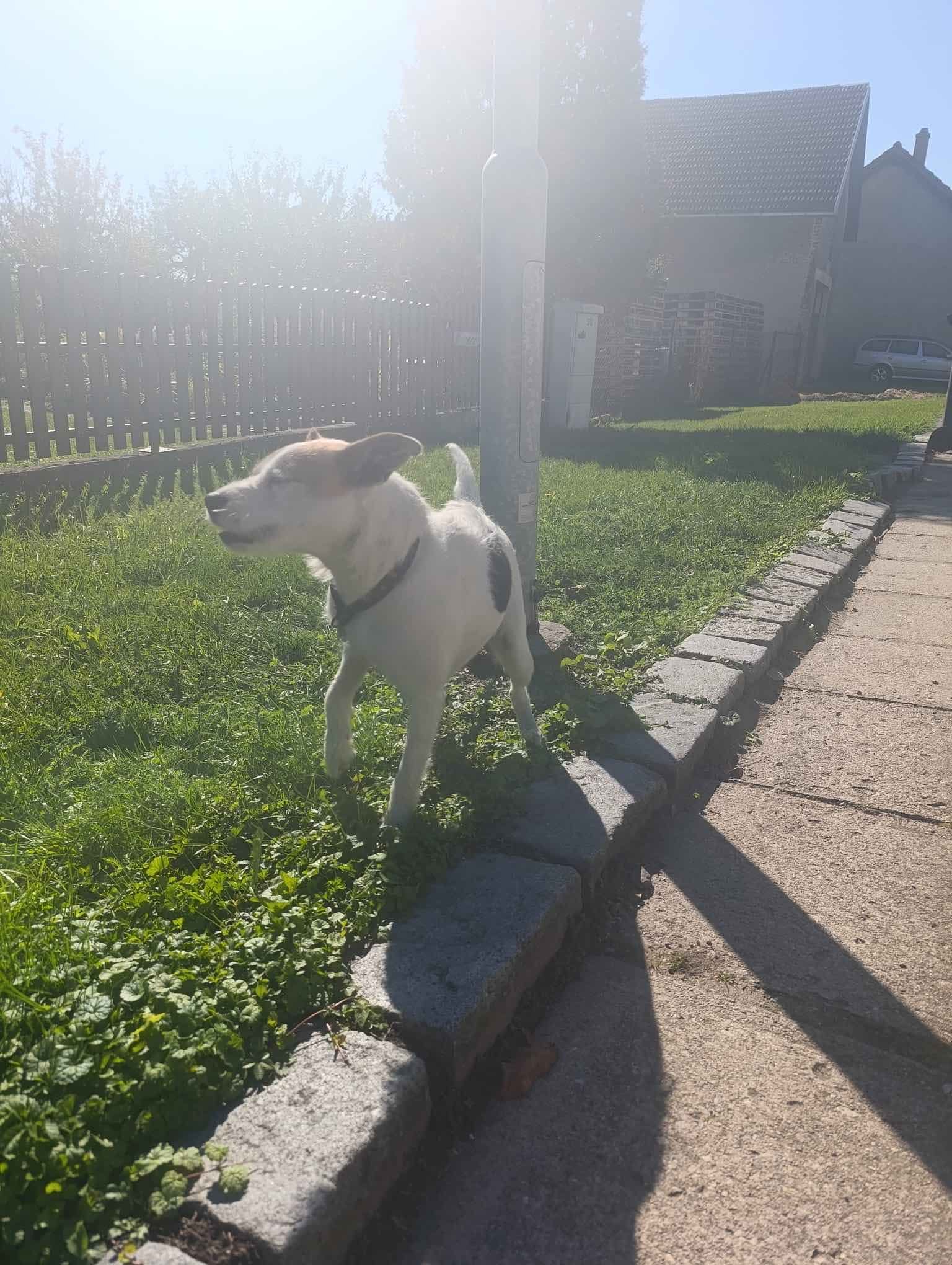 Fotografie příspěvku v galerii: 3