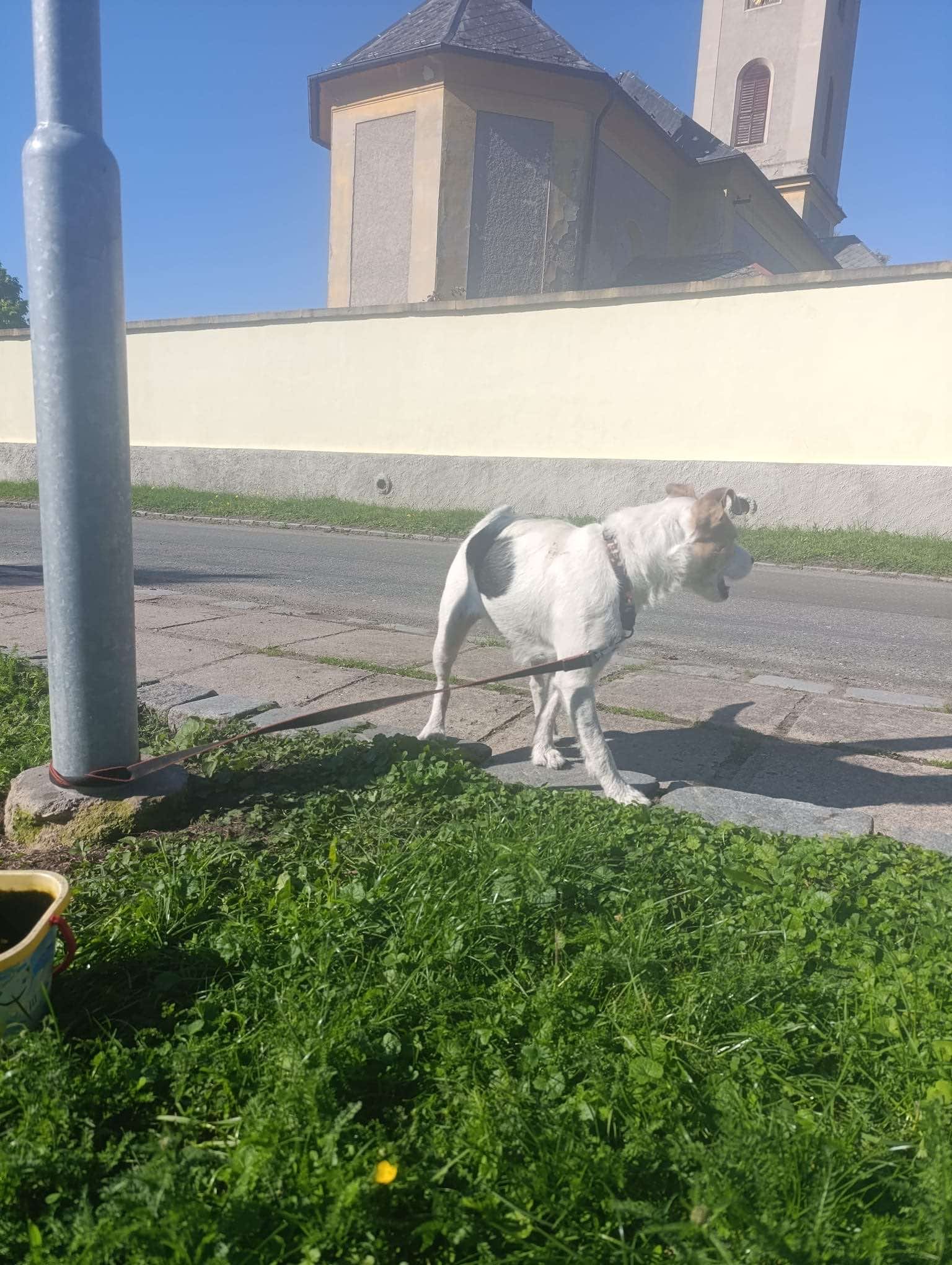 Fotografie příspěvku v galerii: 4