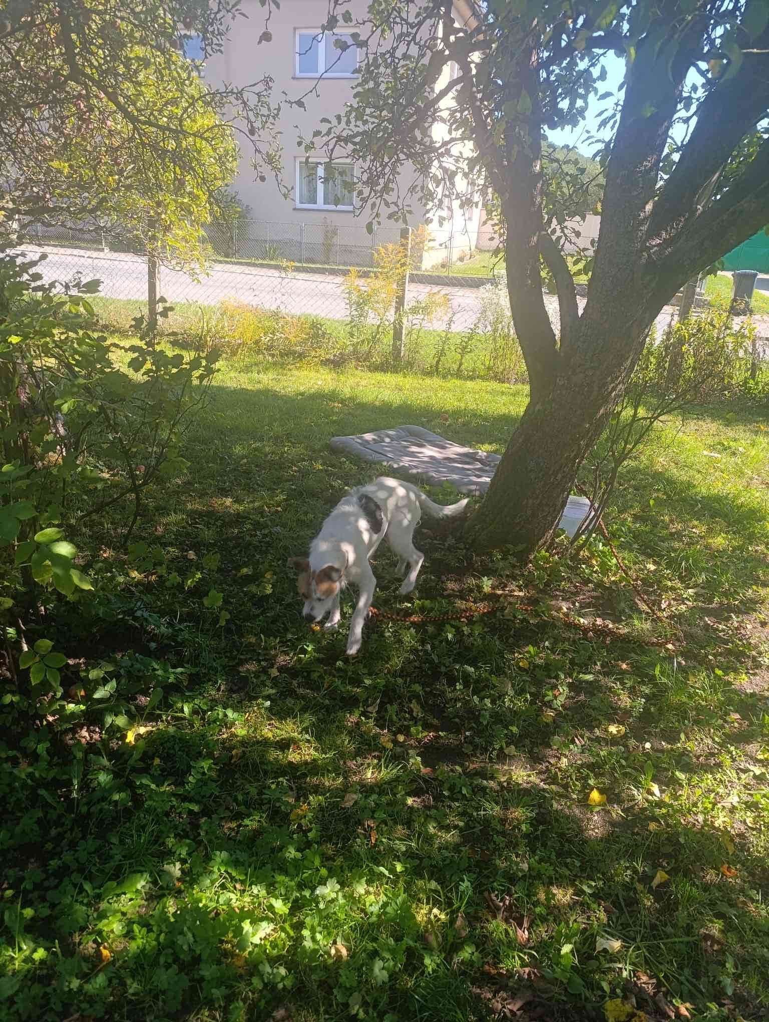 Fotografie příspěvku v galerii: 5