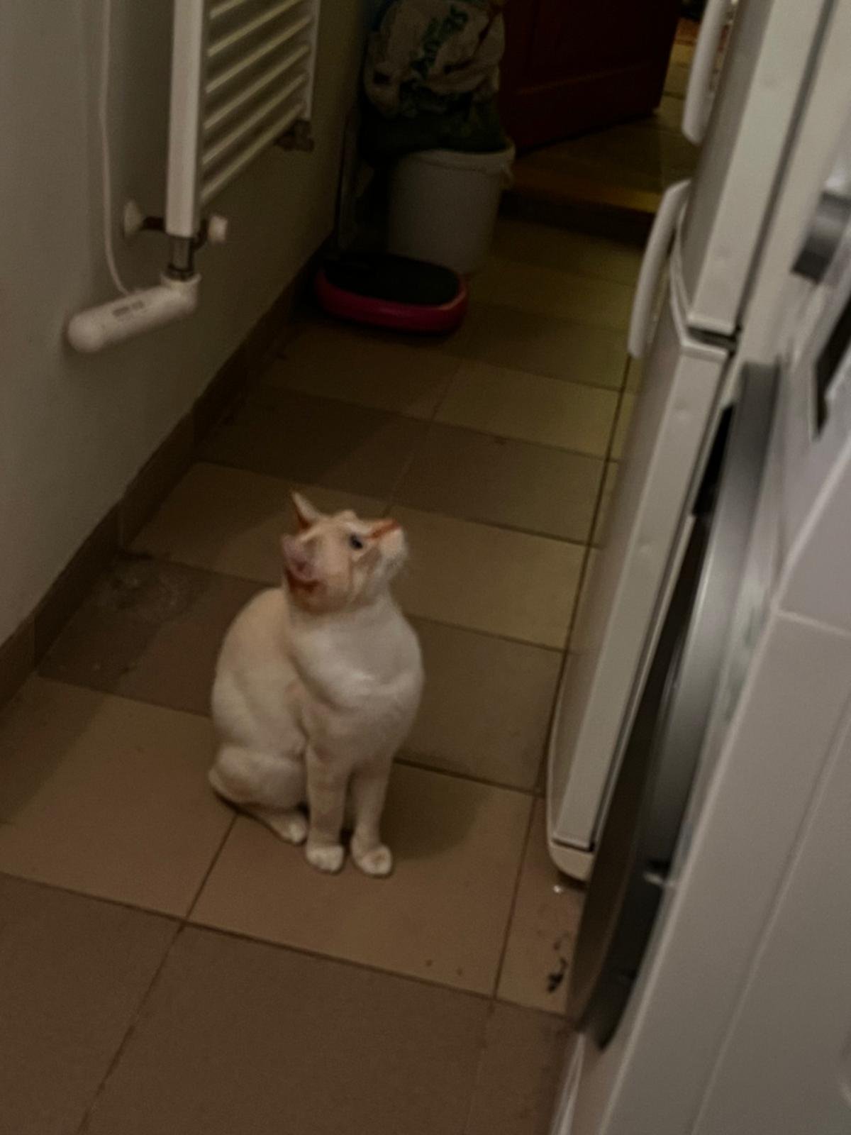 Fotografie příspěvku v galerii: 1