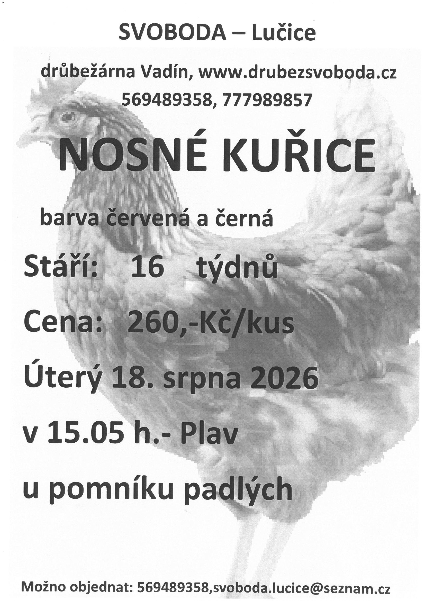 Fotografie příspěvku v galerii: 1