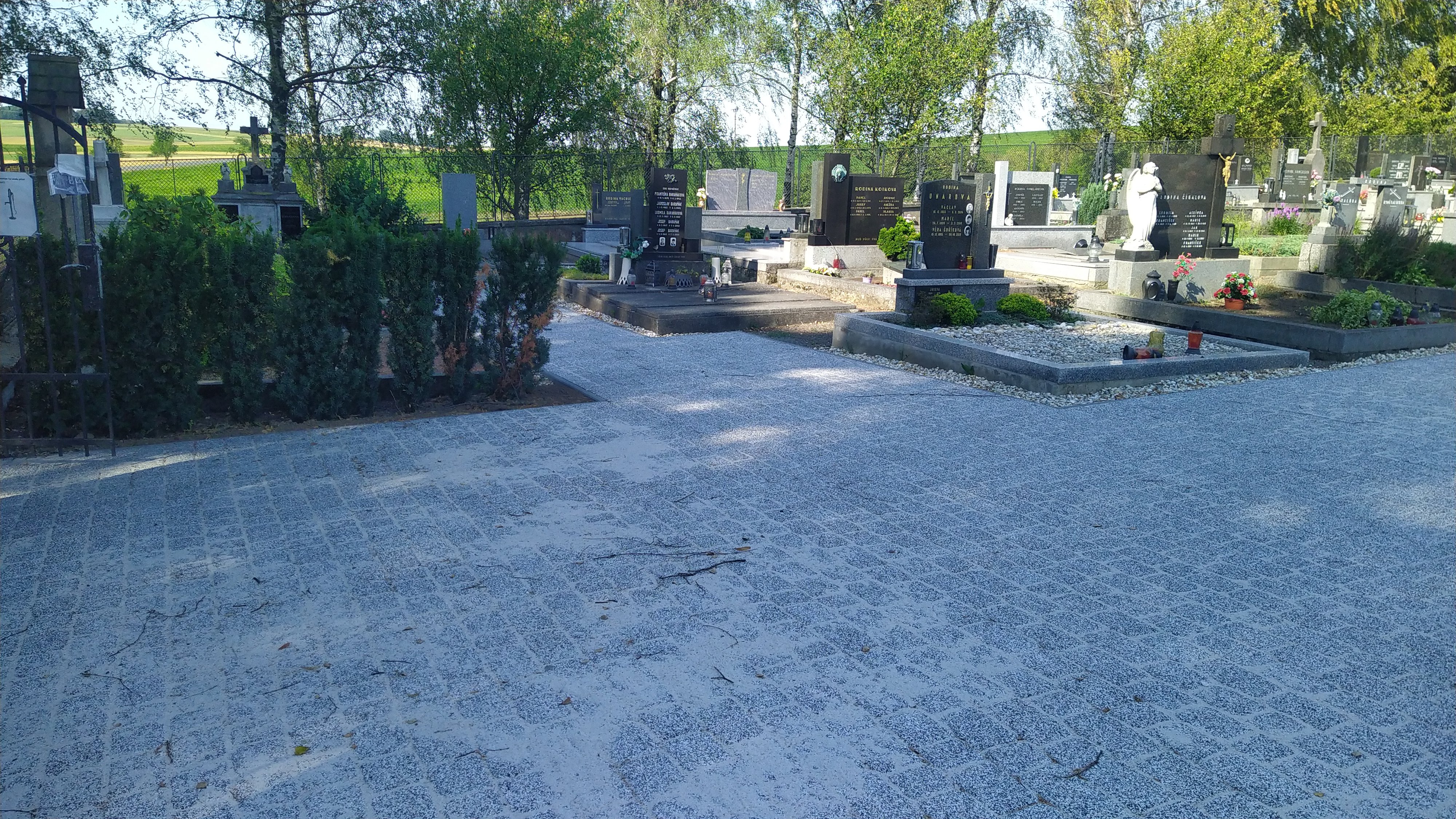 Fotografie příspěvku v galerii: 4