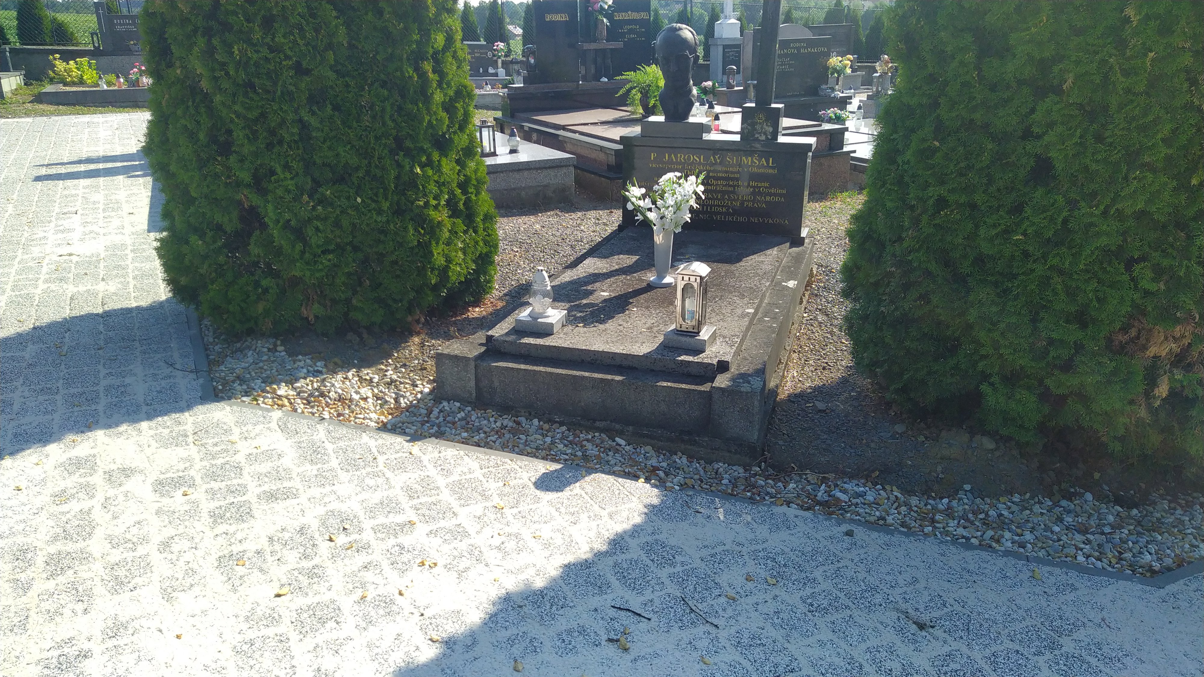 Fotografie příspěvku v galerii: 6