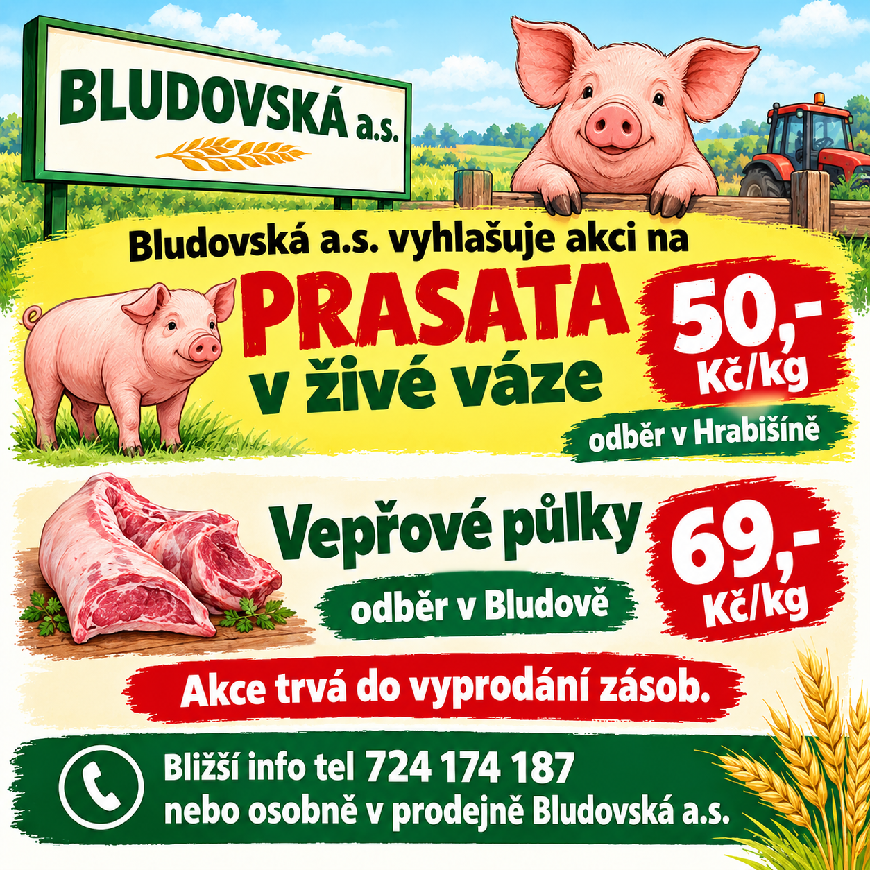 Fotografie příspěvku v galerii: 1