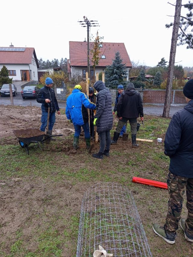 Fotografie příspěvku v galerii: 4