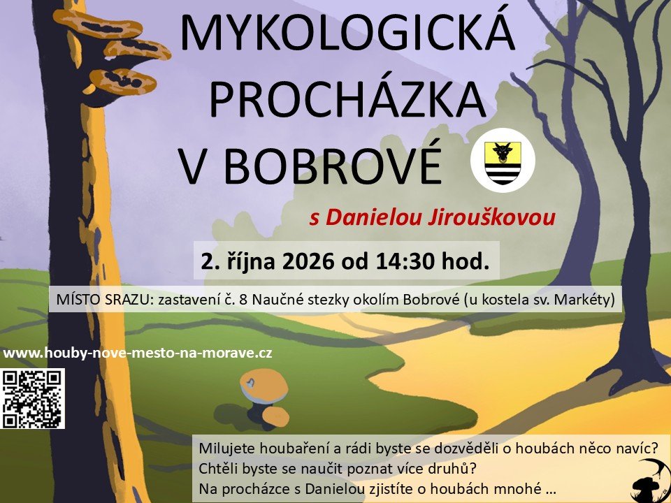 Fotografie příspěvku v galerii: 1