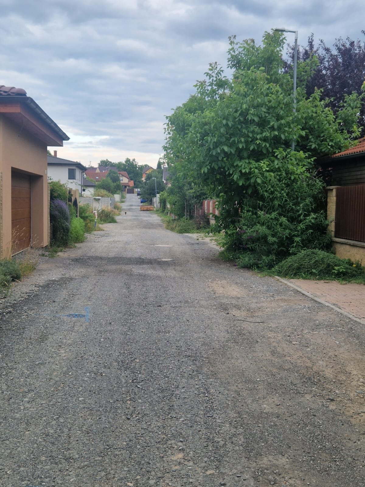 Fotografie příspěvku v galerii: 4