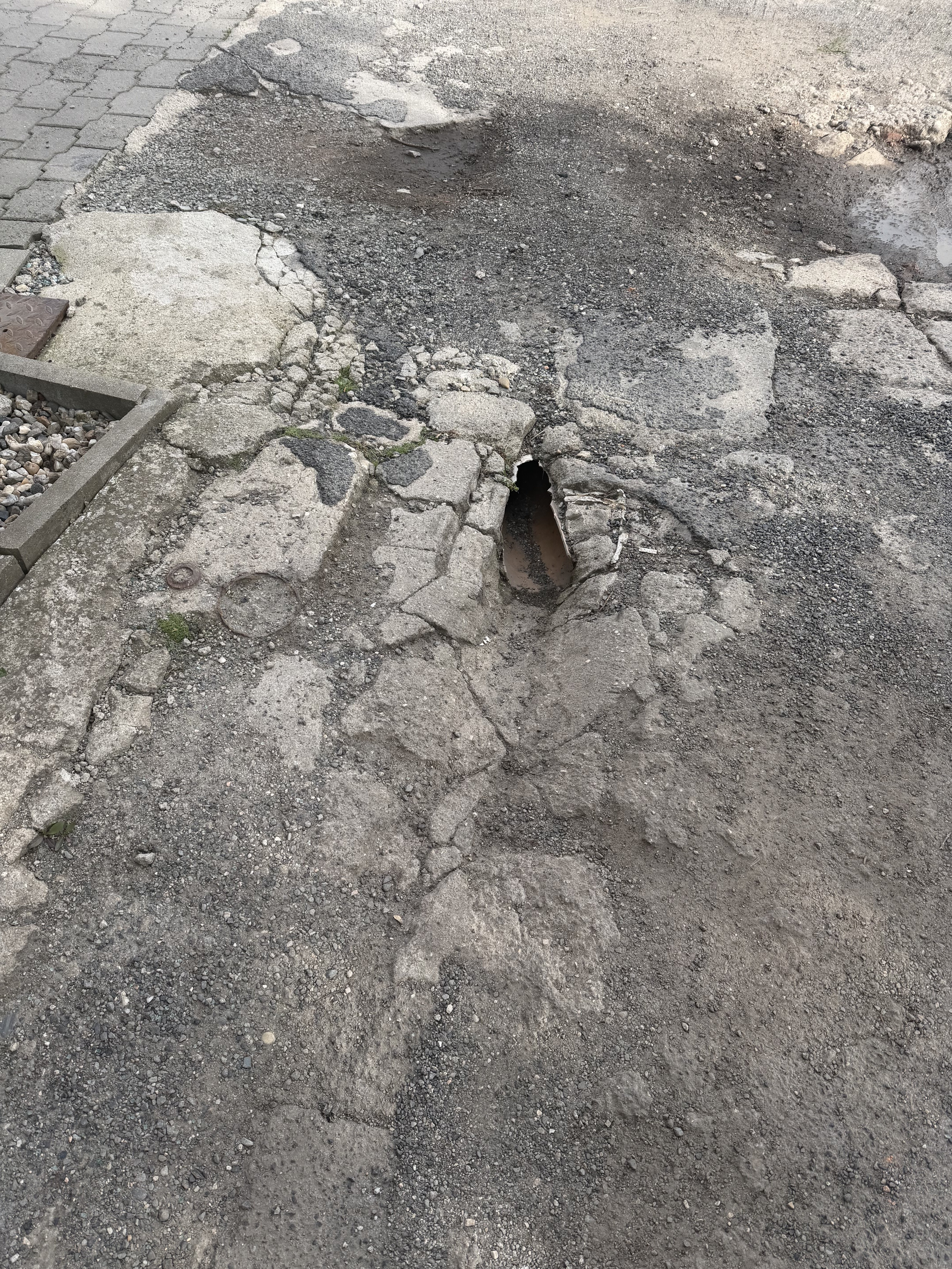 Fotografie příspěvku v galerii: 12