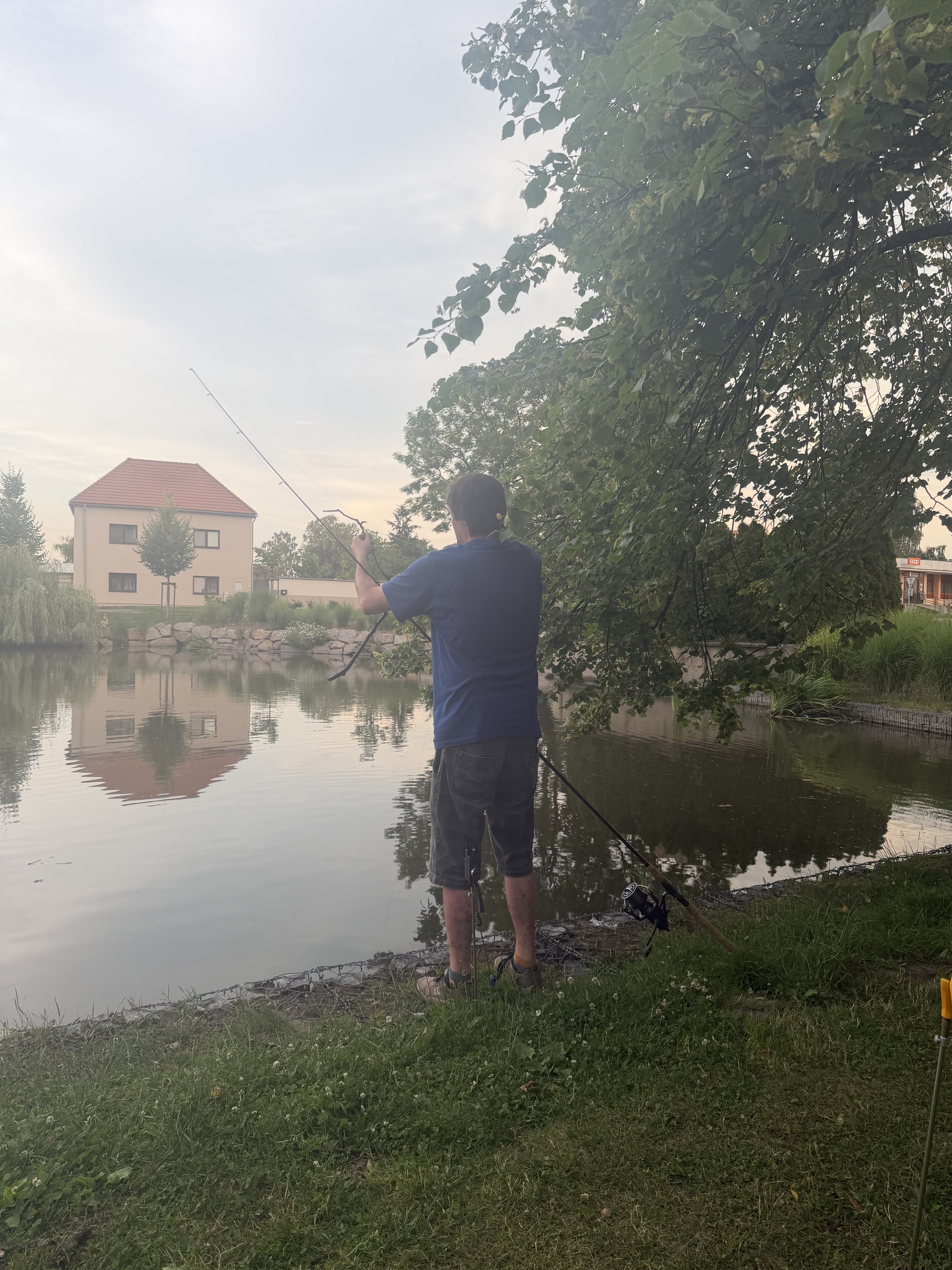 Fotografie příspěvku v galerii: 12