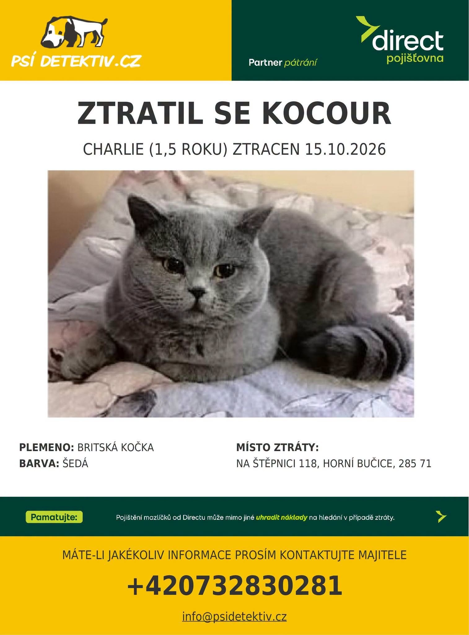 Fotografie příspěvku v galerii: 1