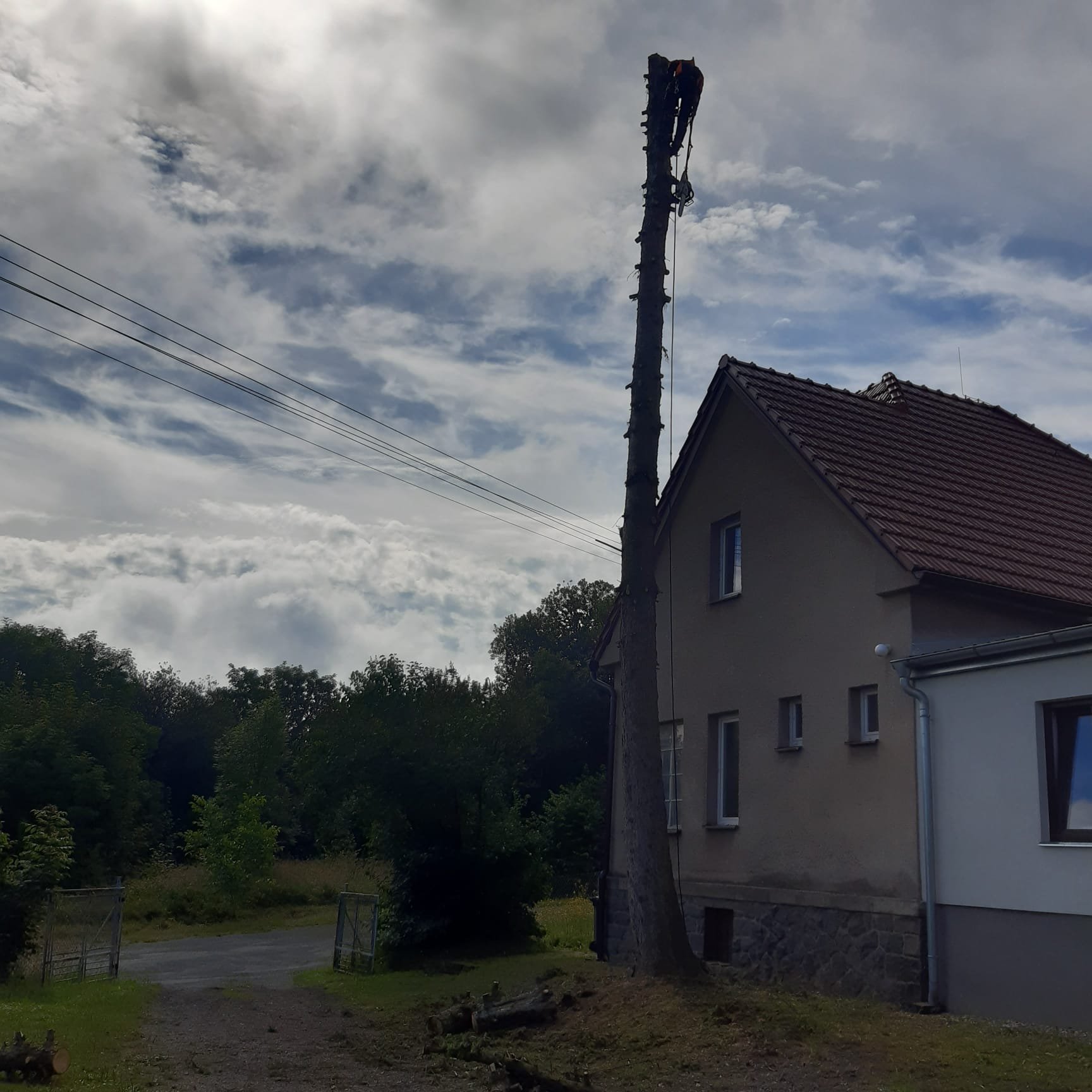 Fotografie příspěvku v galerii: 2