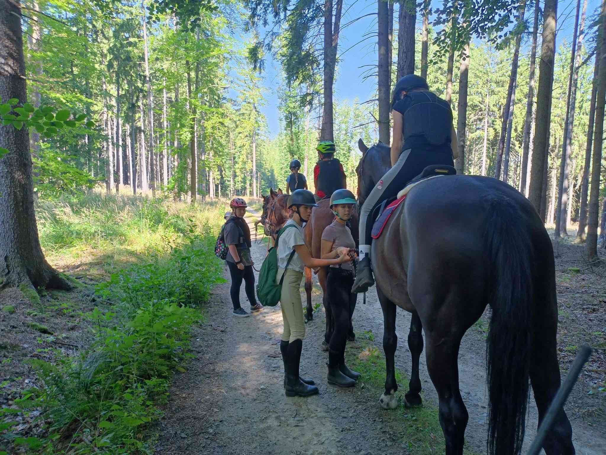Fotografie příspěvku v galerii: 3