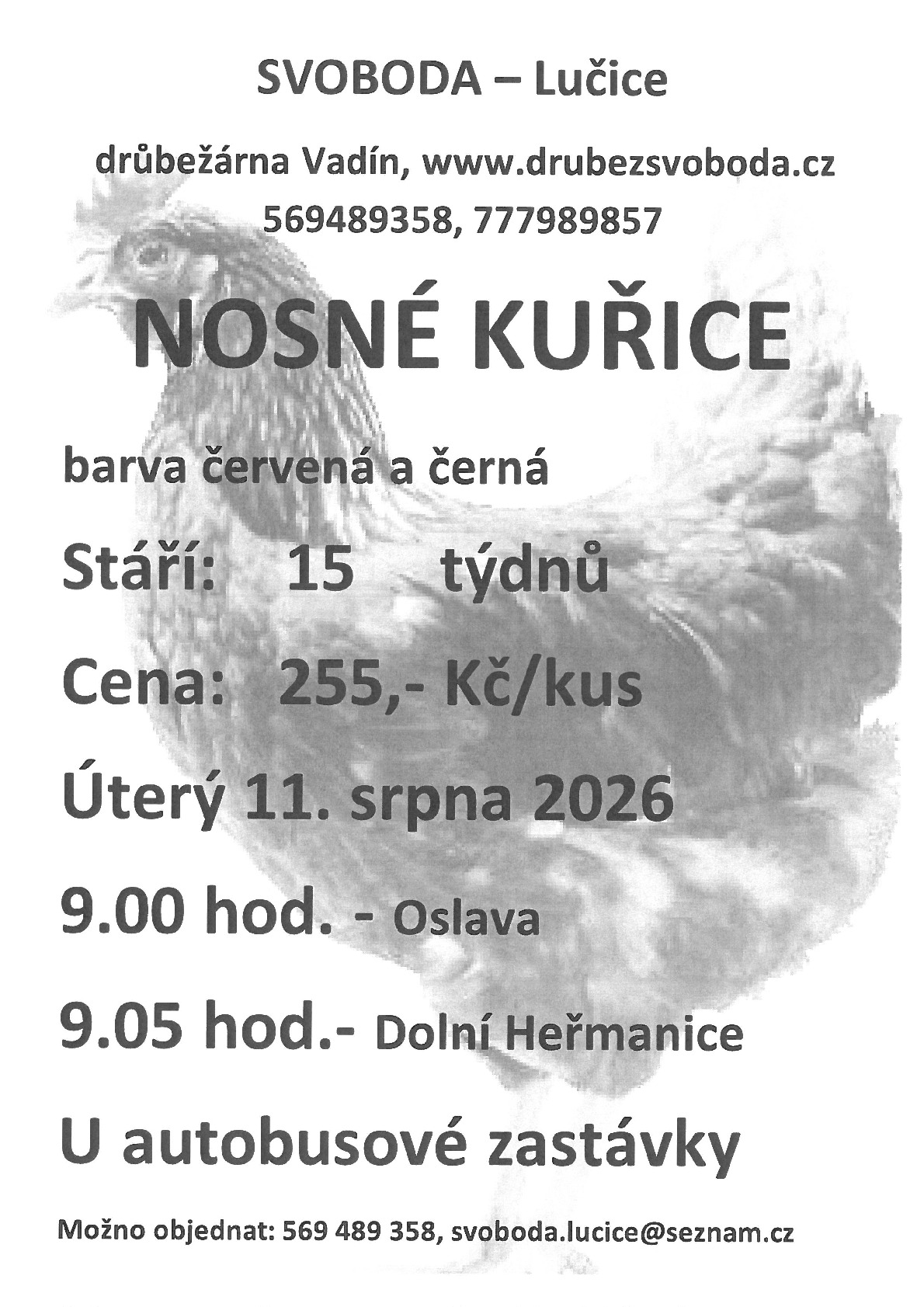 Fotografie příspěvku v galerii: 1