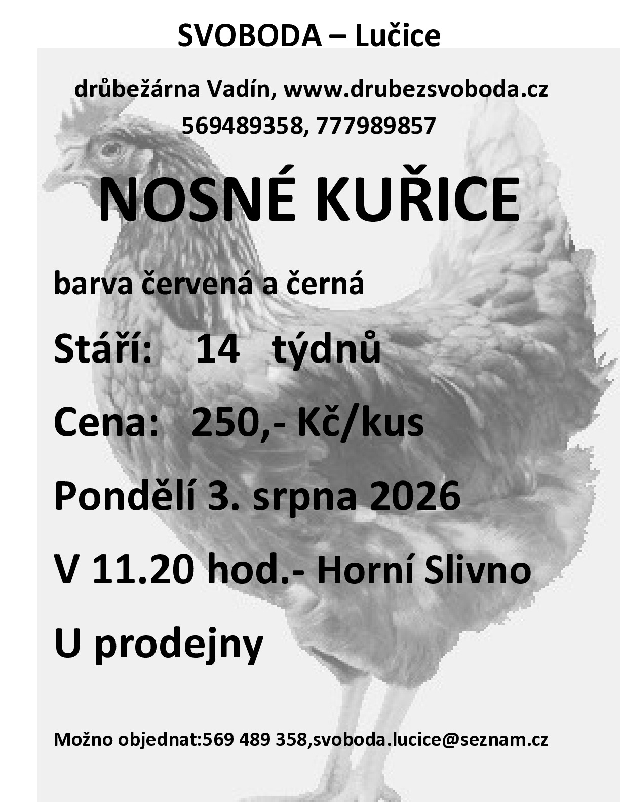 Fotografie příspěvku v galerii: 1
