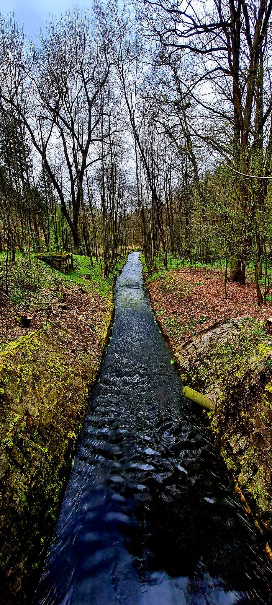 Fotografie příspěvku v galerii: 1