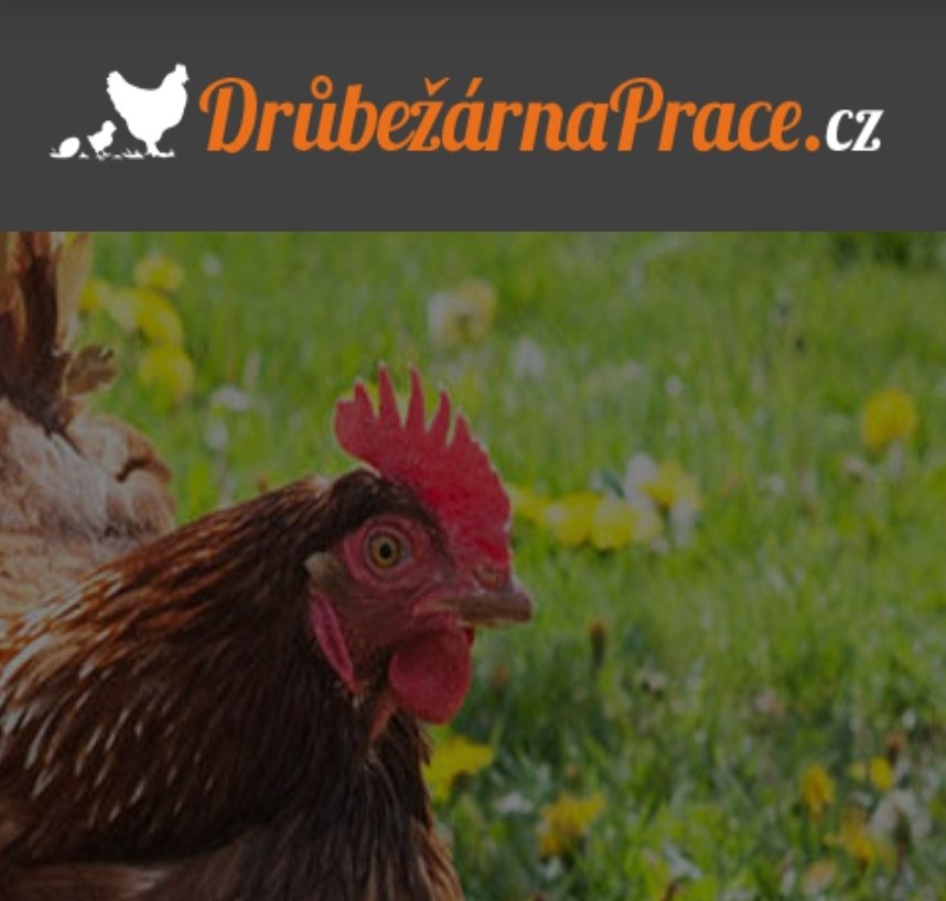 Náhledový obrázek článku: Drůbežárna Prace