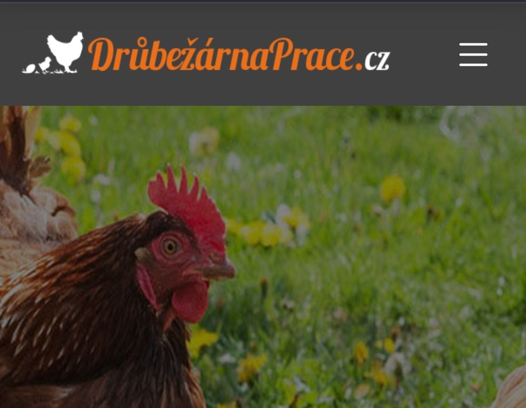 Náhledový obrázek článku: Drůbežárna Prace