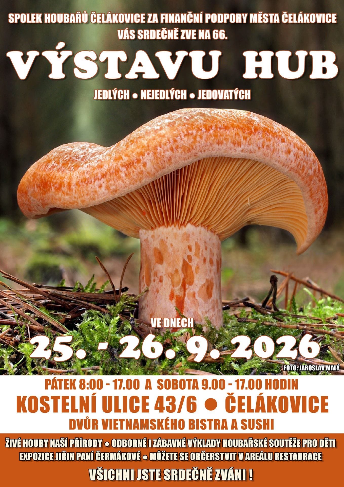 Fotografie příspěvku v galerii: 1