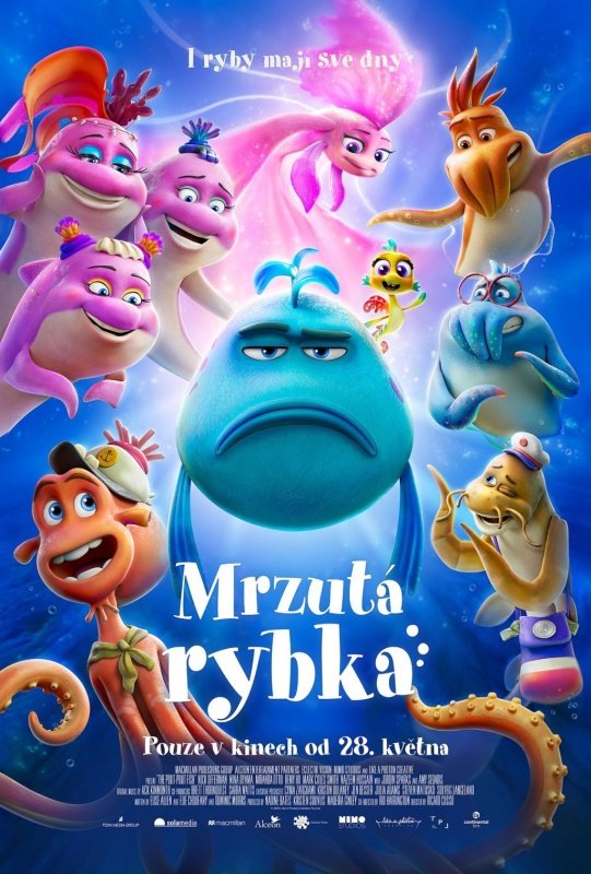 Fotografie příspěvku v galerii: 1