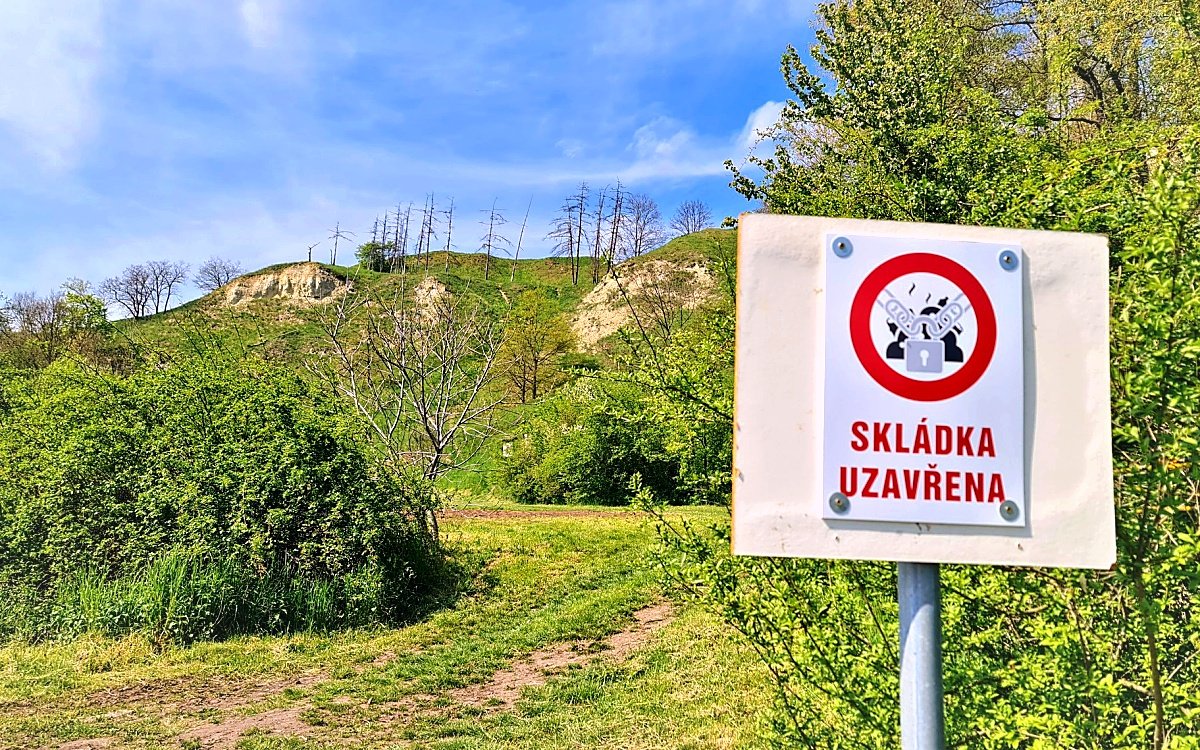 Fotografie příspěvku v galerii: 1