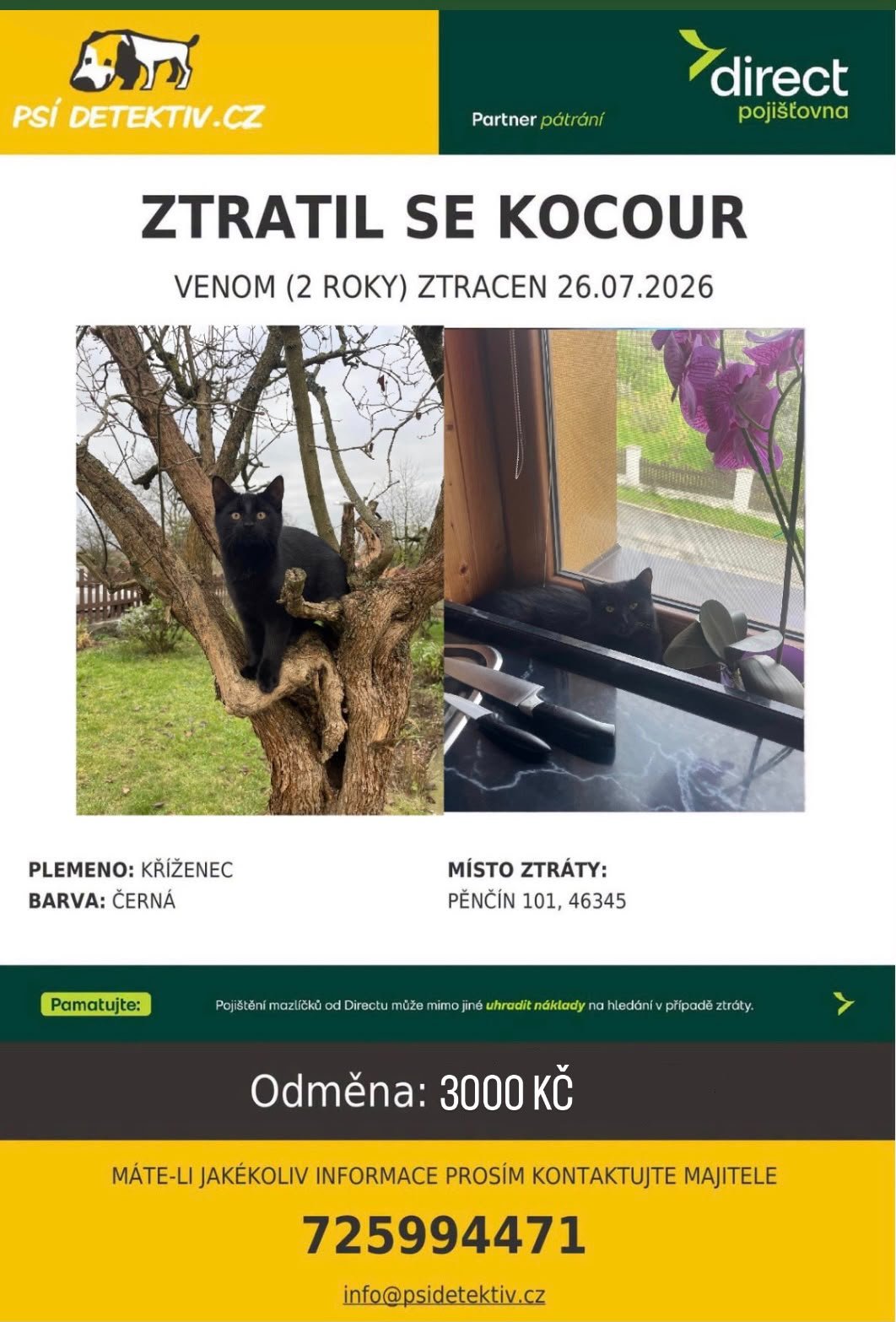 Fotografie příspěvku v galerii: 2