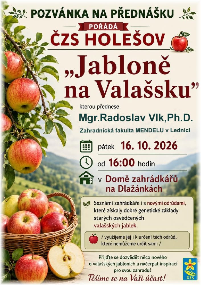Fotografie příspěvku v galerii: 11