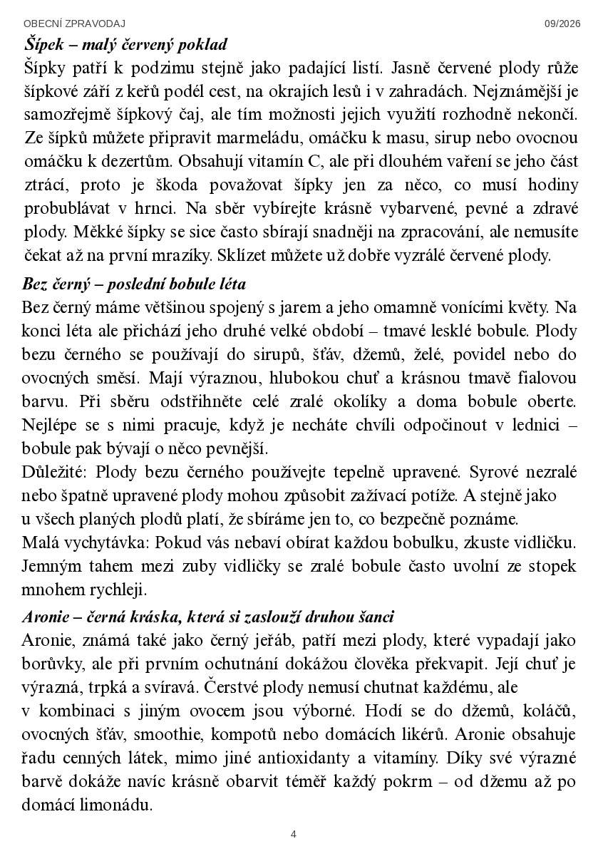 Fotografie příspěvku v galerii: 4