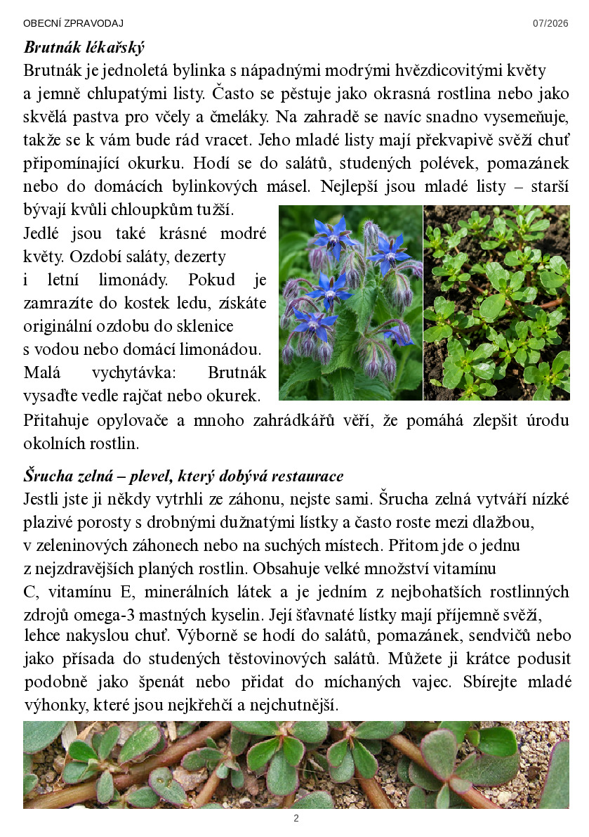 Fotografie příspěvku v galerii: 2