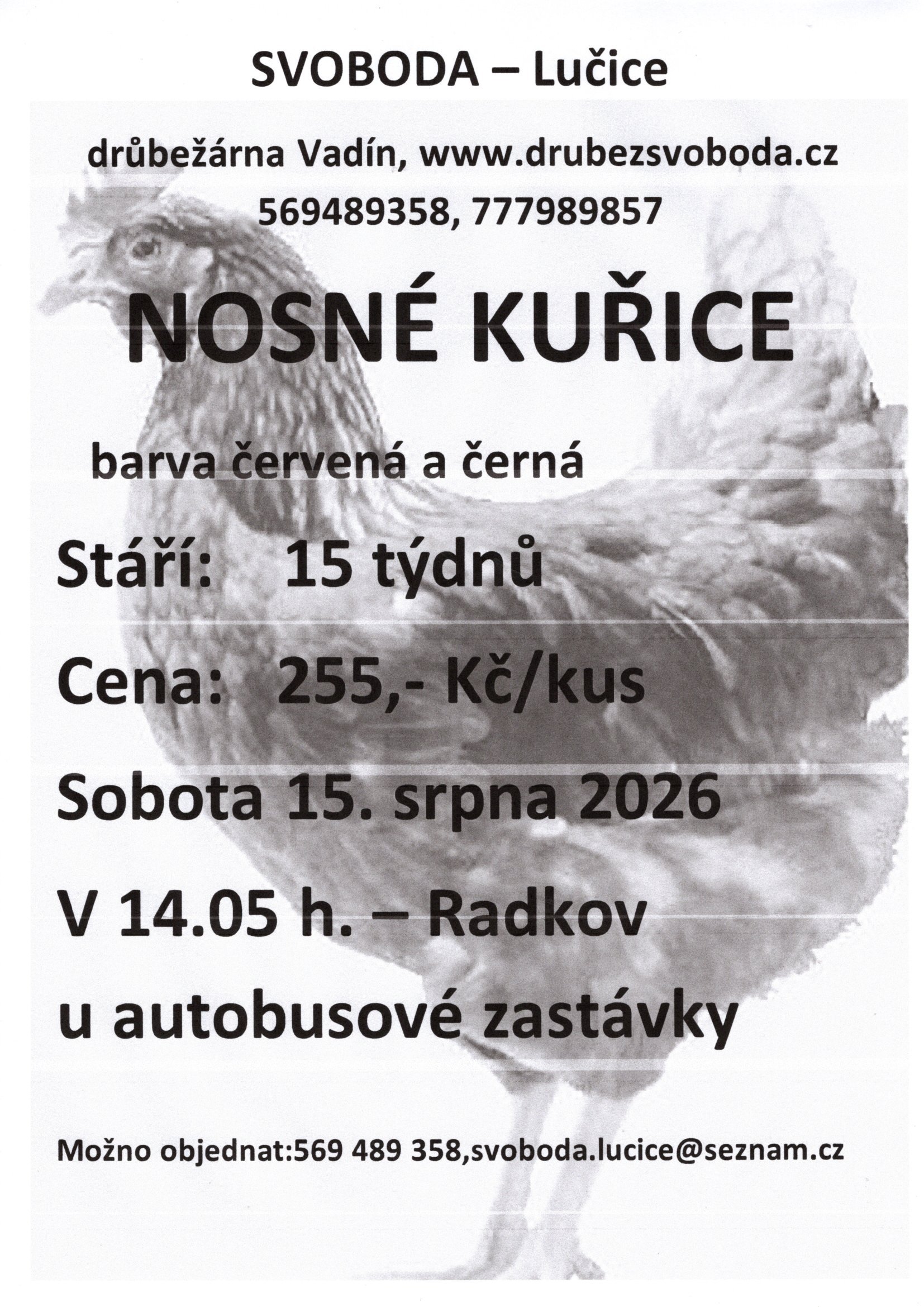 Fotografie příspěvku v galerii: 1