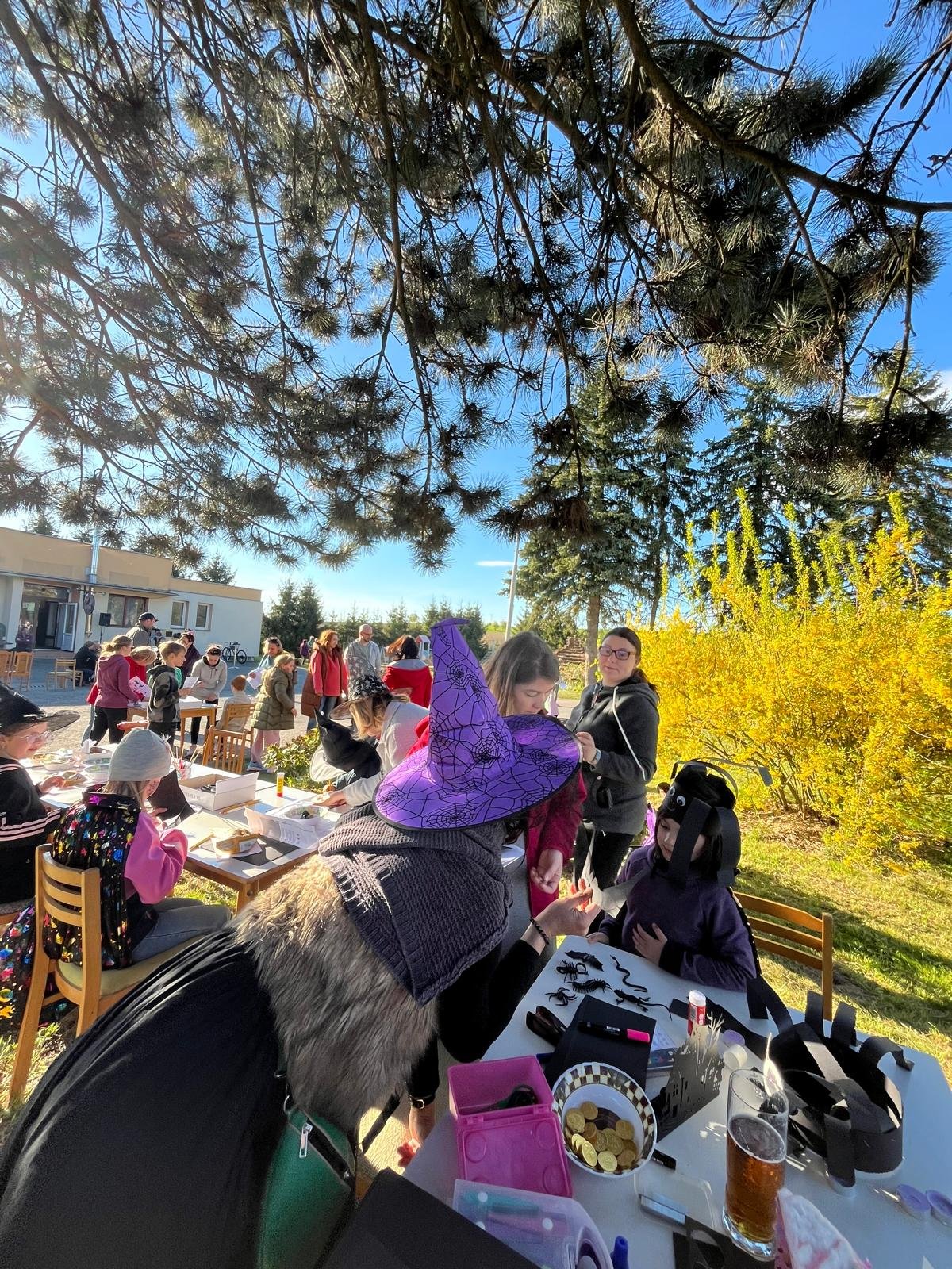 Fotografie příspěvku v galerii: 9