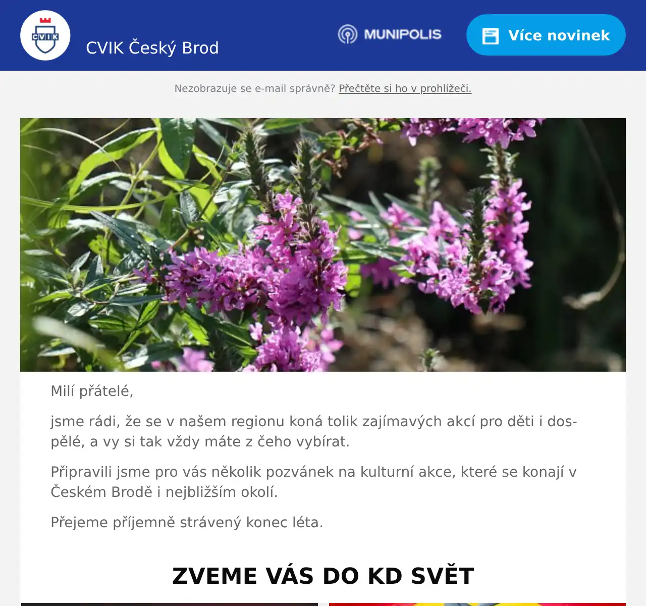 Fotografie příspěvku v galerii: 1