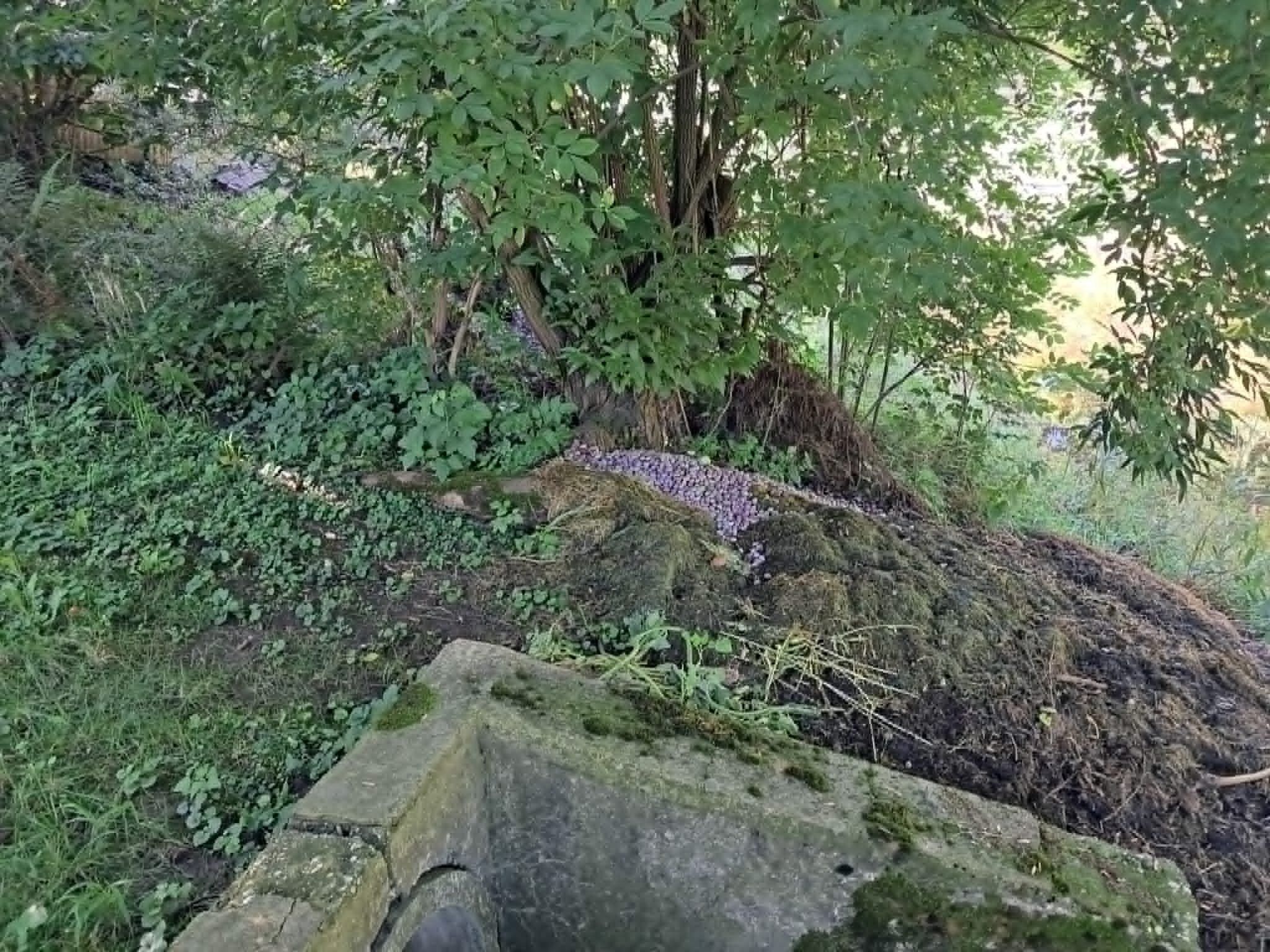 Fotografie příspěvku v galerii: 1