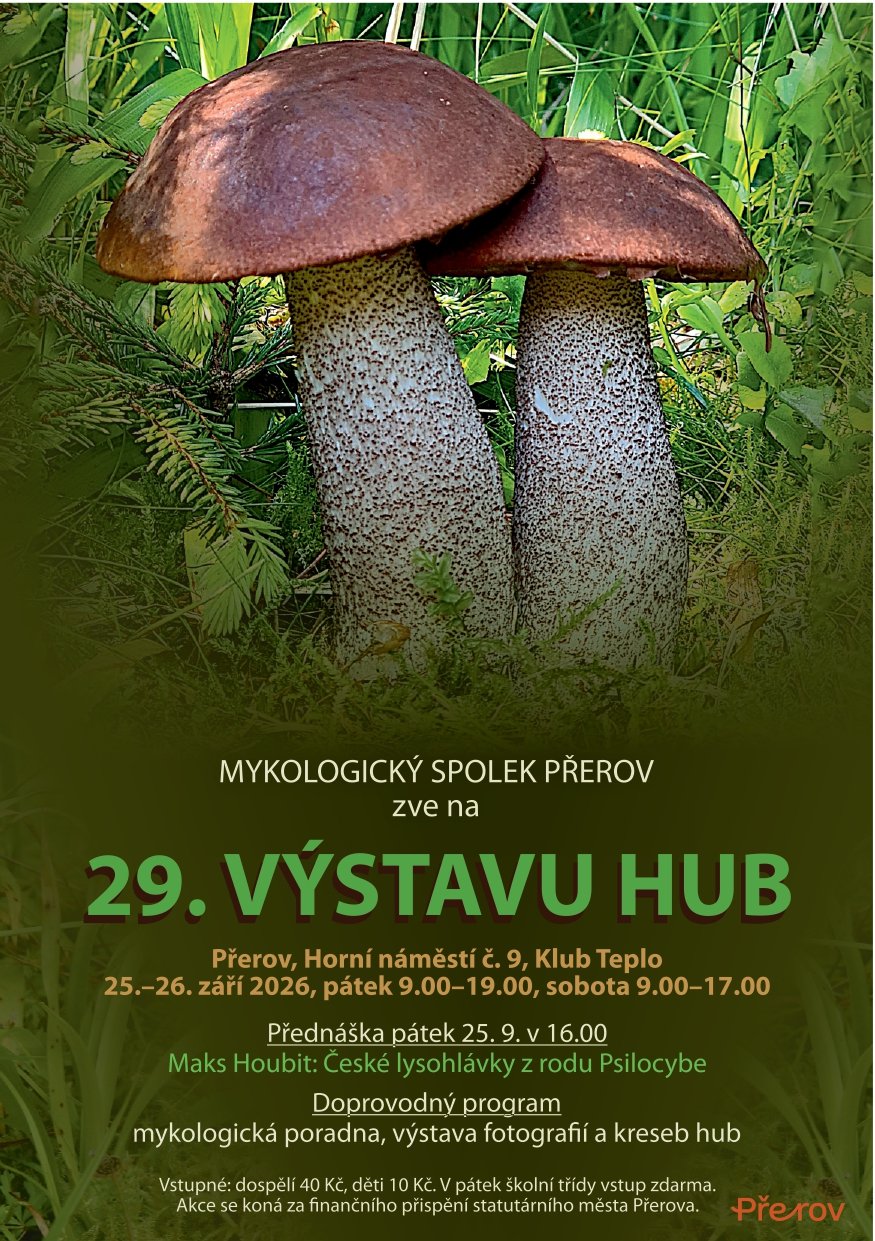 Fotografie příspěvku v galerii: 1