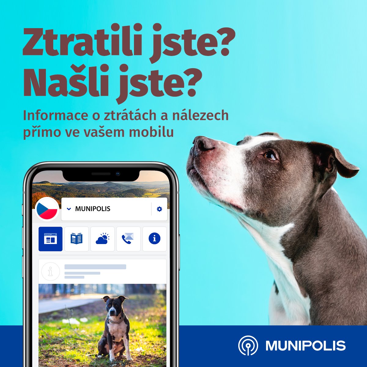 Fotografie příspěvku v galerii: 1